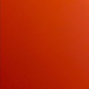 Meet your Posher, Dina